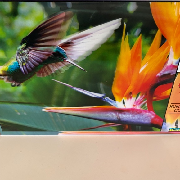 3 D Hummingbird puzzle - Picture 2 of 7